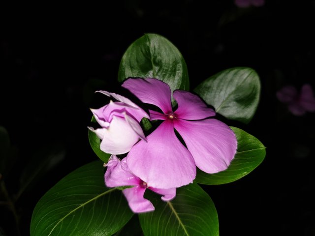 20220918_213804.jpg