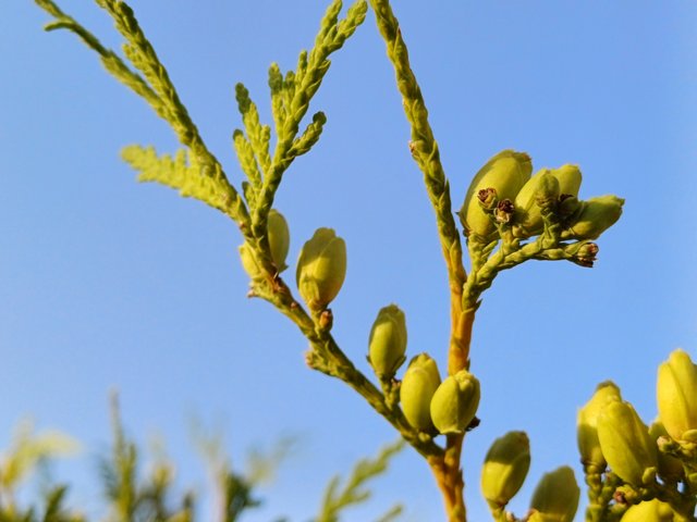 20250710_054601.jpg