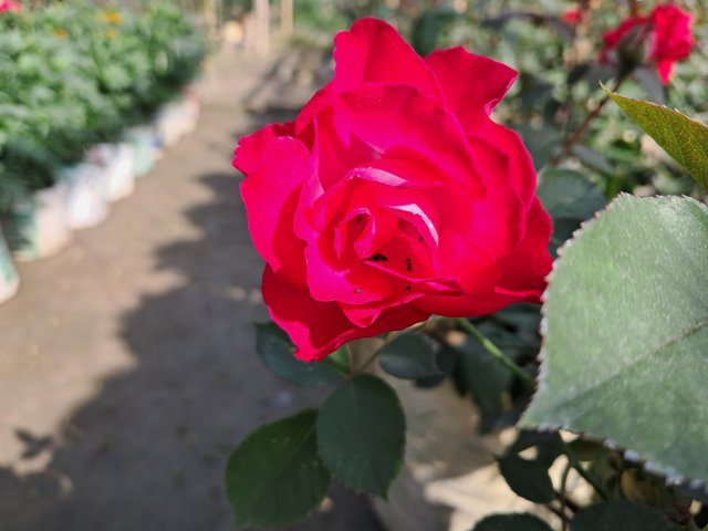 20231220_104425.jpg