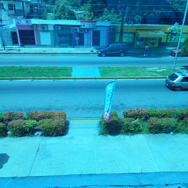 20250723_130956.jpg