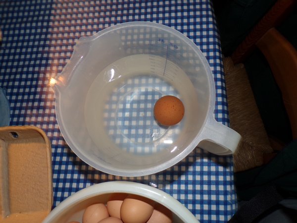 Waterglass eggs - water testing eggs on end1 crop February 2020.jpg