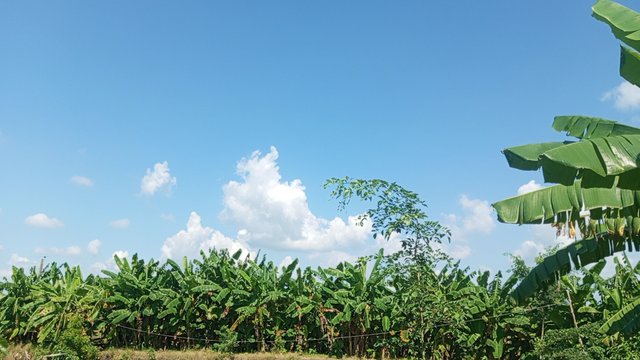 IMG_20240829_145624_9.jpg