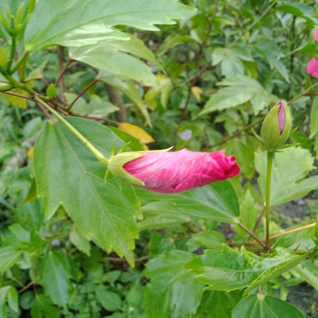 IMG_20250714_215425.jpg