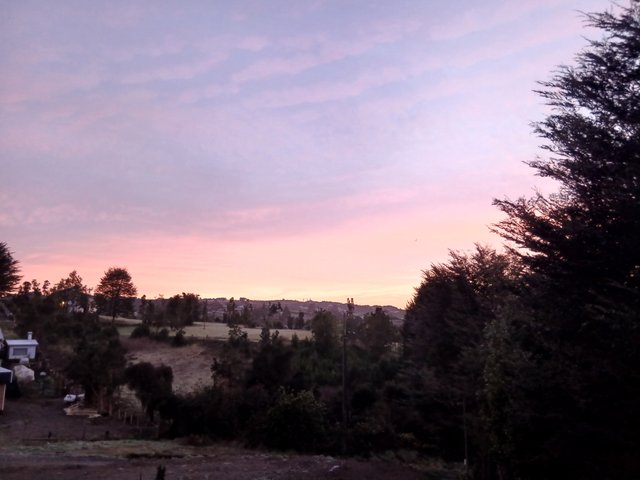 20250905_075457.jpg