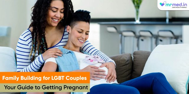 Family Building for LGBT Couples Your Guide to Getting Pregnant.jpg