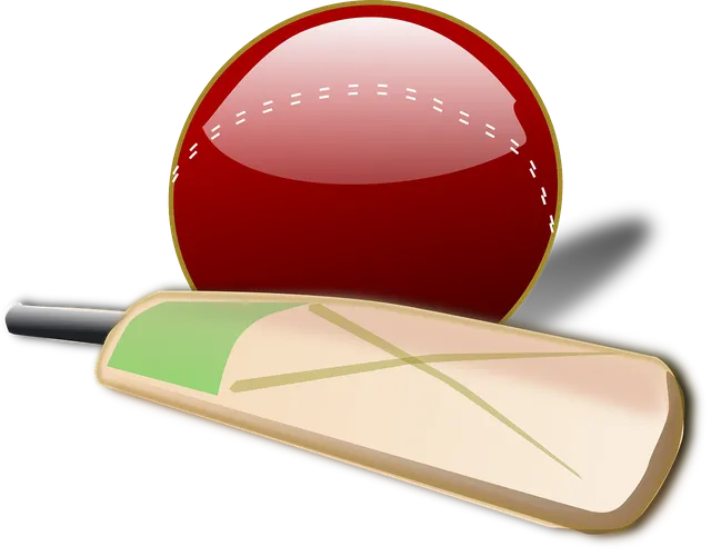 cricket-150561_1280.webp