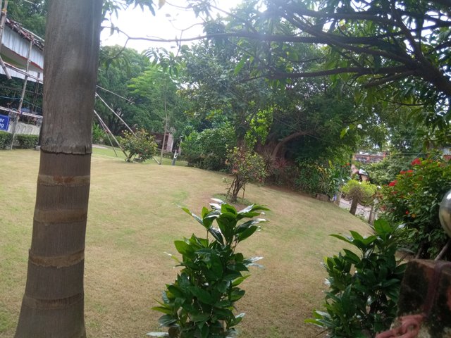 IMG_20250814_154130.jpg