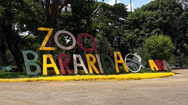 IMG_7333 de tamaño grande.jpeg
