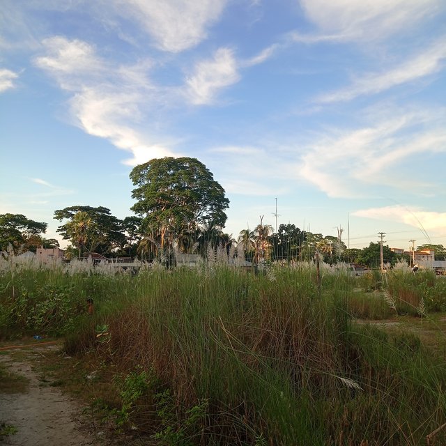 IMG_20250924_172544.jpg