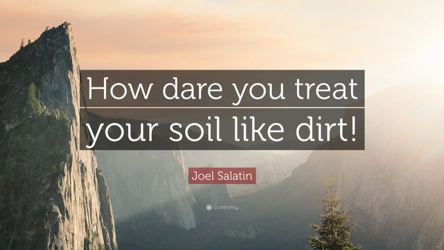 1159002-Joel-Salatin-Quote-How-dare-you-treat-your-soil-like-dirt.jpg