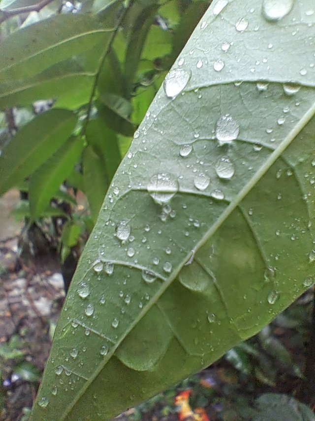 20250609_180758.jpg
