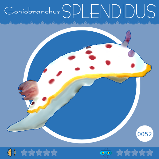 0052-GoniobranchusSplendidus.png