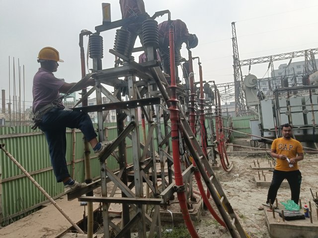 IMG20250211114036.jpg
