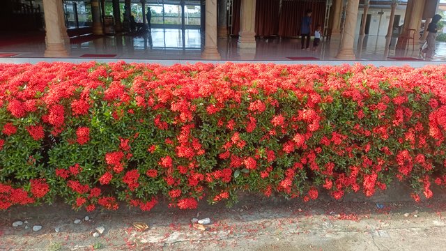 IMG_20250503_170204.jpg