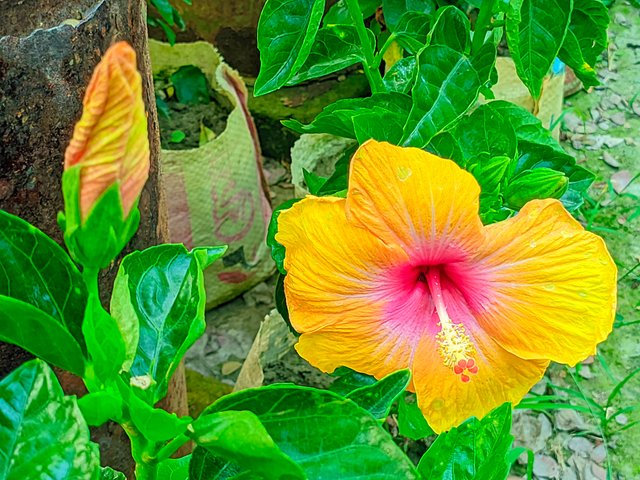 LMC_20250402_162911_🌈Color boost by Riyan  (1)_084205.jpg