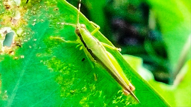 IMG20230811180821_01.jpg