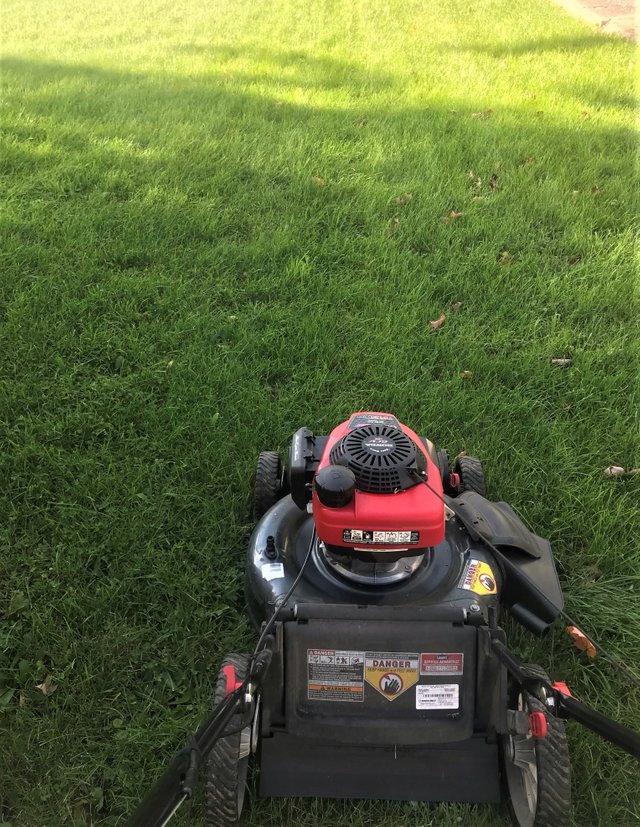 mowing mower.jpeg