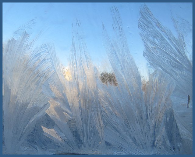 jack frost feathery streaks on the window pane.JPG