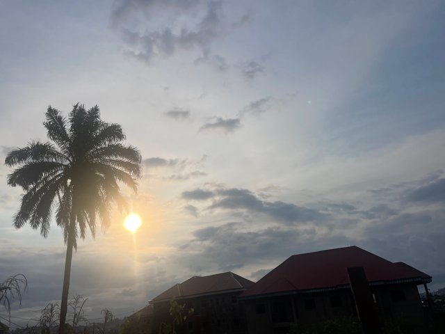 IMG_3213.jpeg