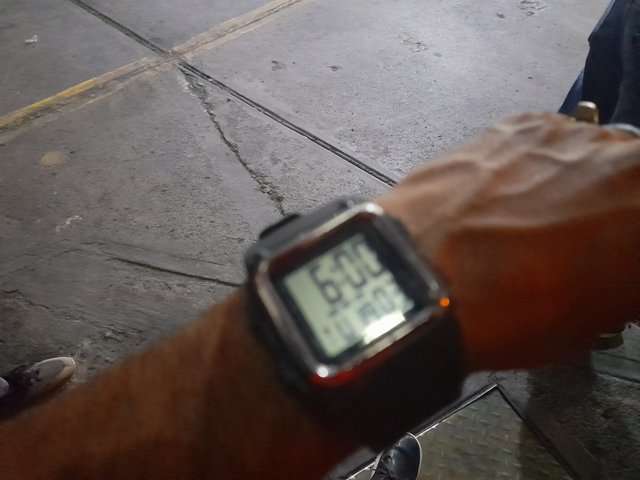 20250819_055912.jpg