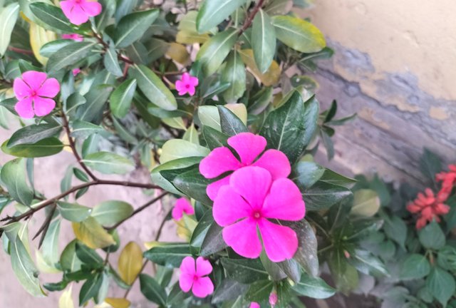 IMG_20250417_201003.jpg