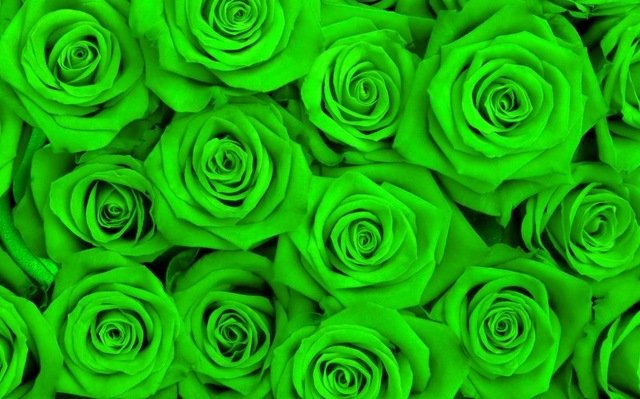 Las Rosas Verdes. — Steemit