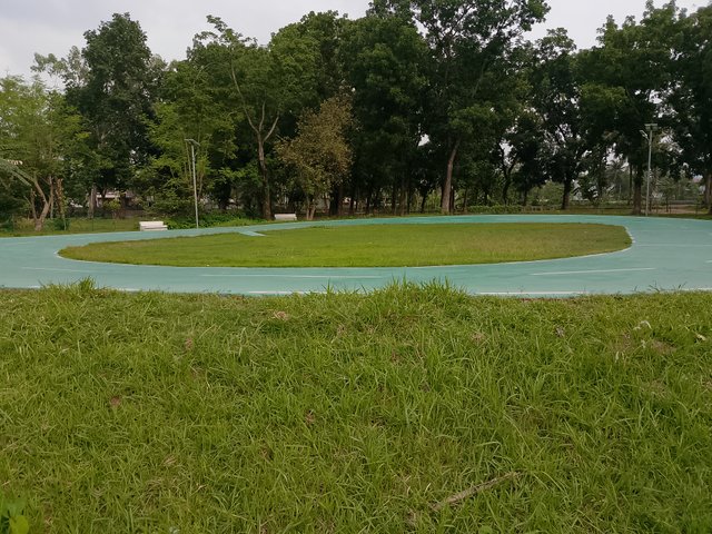 1000038219.jpg