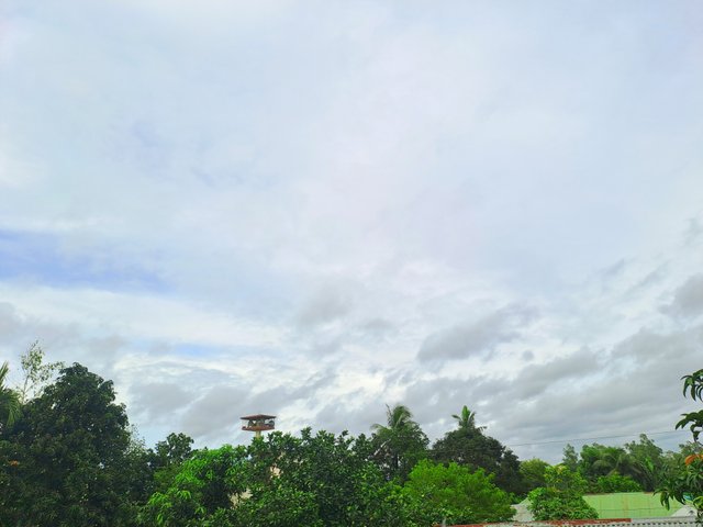 20250530_170808.jpg