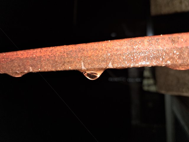 20250518_000607.jpg