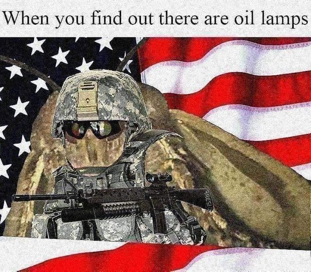 moth memes oil.jpg