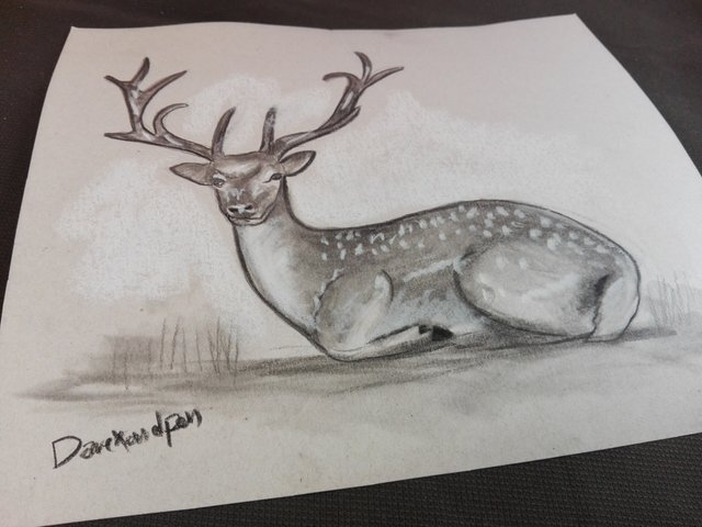 deerdrawing(10).jpg