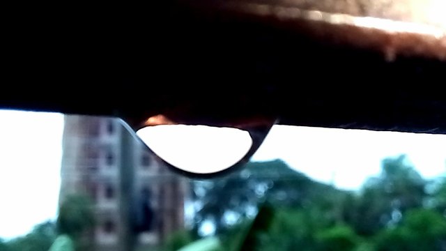 20250529_084850.jpg