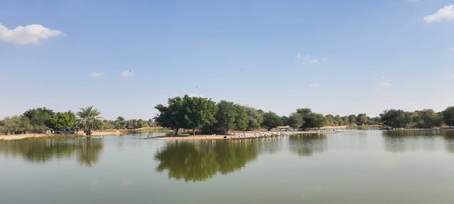 Flamingo Lake1.jpg