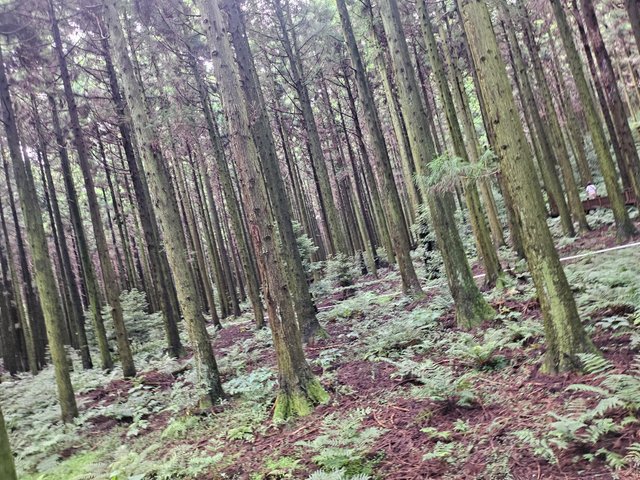 20250912_130816.jpg