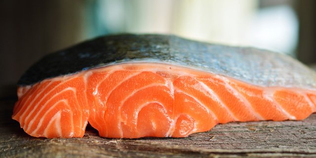 salmon-3139390_1280.jpg