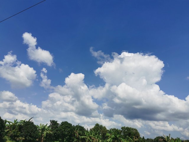 IMG_20250825_142017.jpg