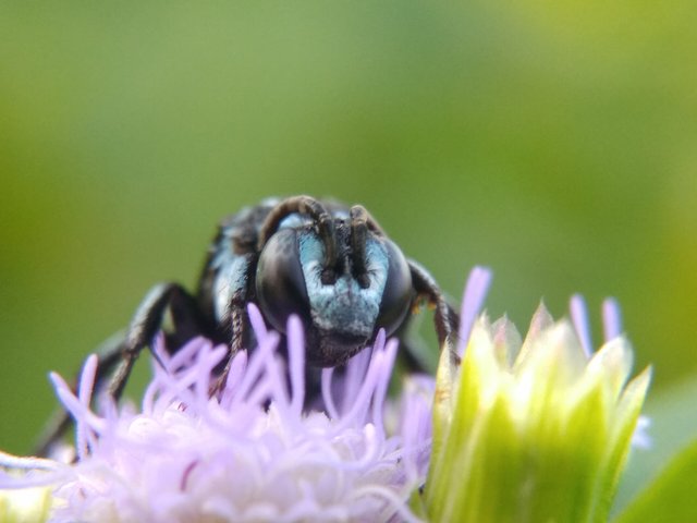 IMG_20210907_171020.jpg