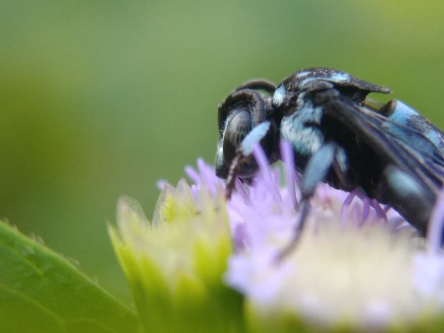 IMG_20210907_171027.jpg