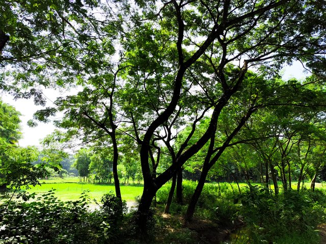IMG_20250919_094017.jpg