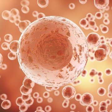 mechanism-cells-may-use-to-protect-themselves-from-oxidative-damage-uncovered-330183.jpg