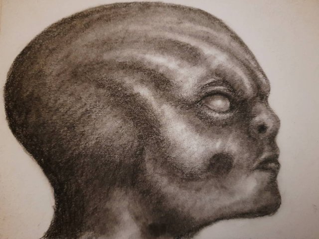 20250722_105626.jpg