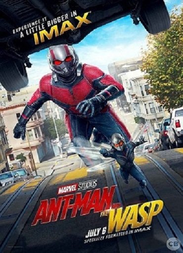 Ant-Man and the Wasp 2018.jpg