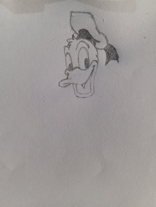 1000108625.jpg