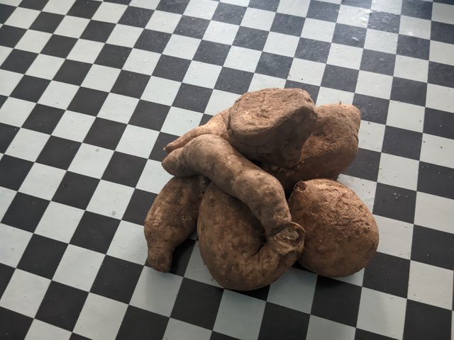 1000592032.jpg