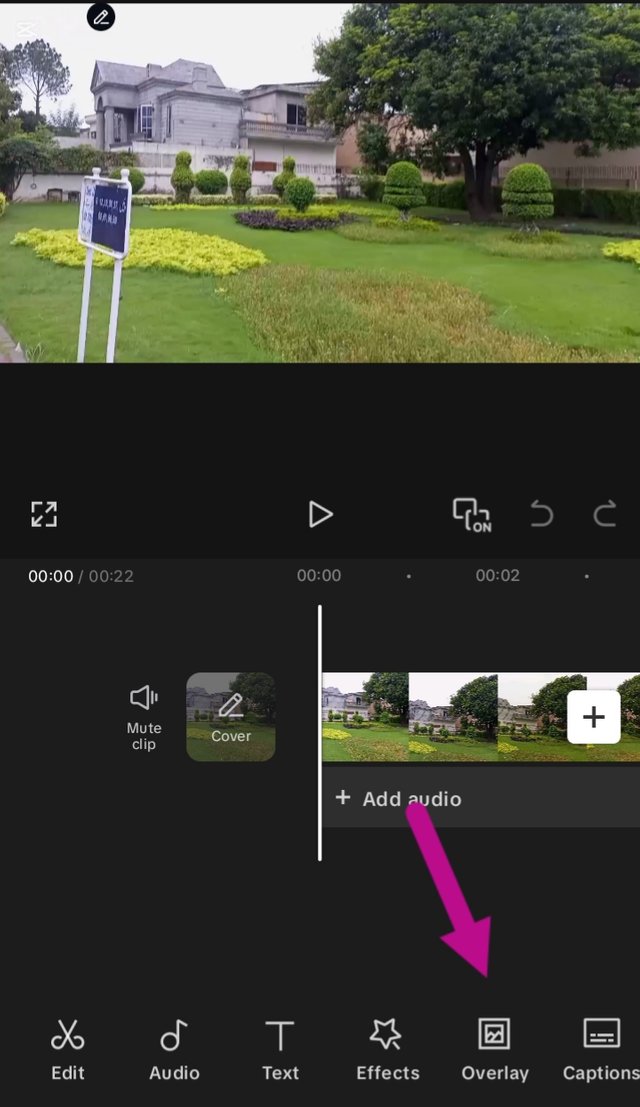1000108392.jpg