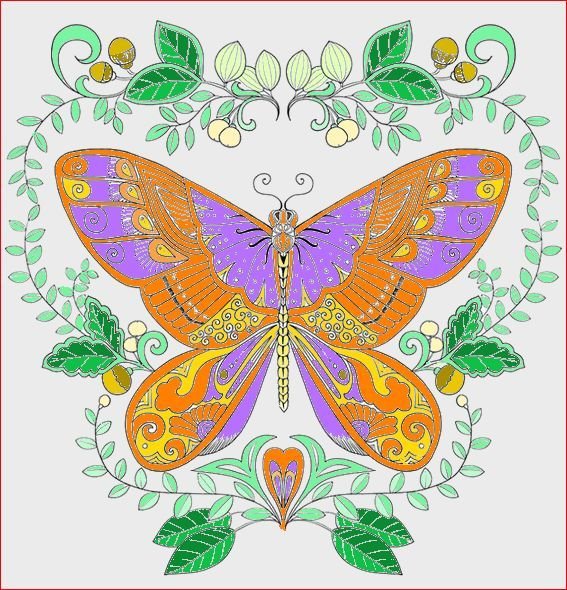 Butterfly Contest 33.1.jpg