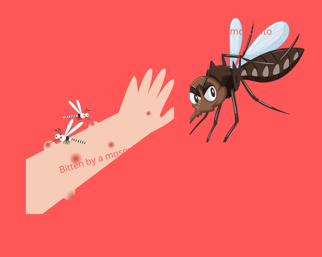 Malaria mosquito.png