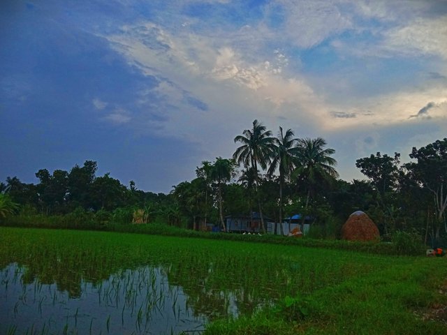 IMG_20250730_141441.jpg
