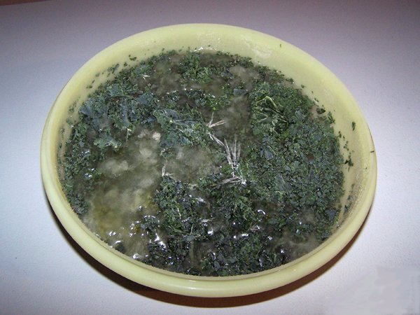 Frozen kale bowl crop July 2018.jpg
