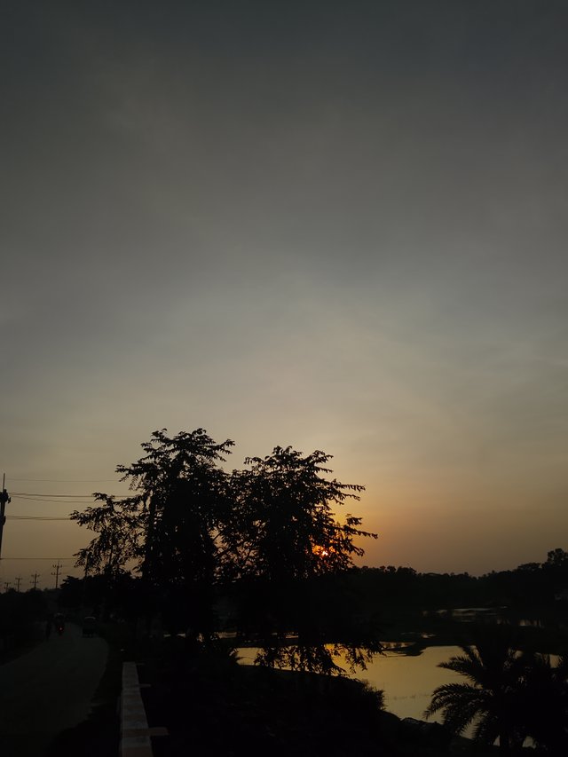IMG20250712183314.jpg